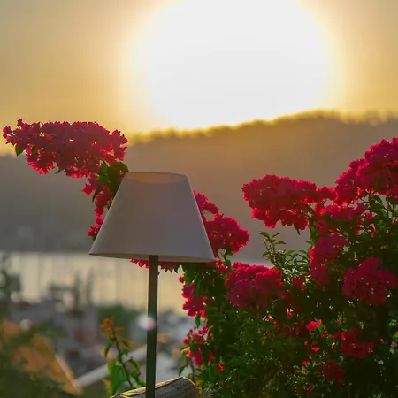 酒店 Unique-boutique Class - Adults Only 费特希耶